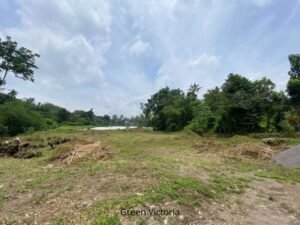 jual tanah strategis sleman jogja green vistoria